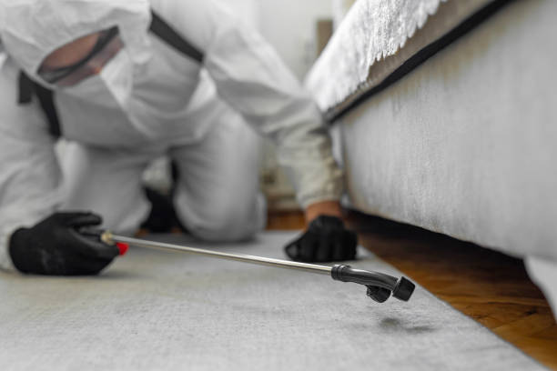 Professional Wasp Control technician working in North Grosvenor Dale, CT