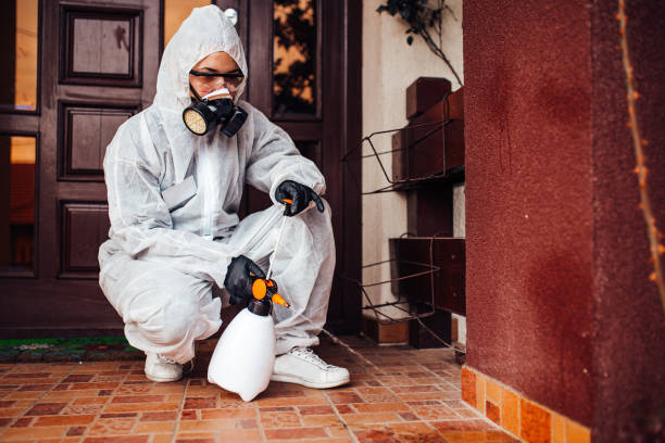 Reliable Emergency Pest Control contractor in North Grosvenor Dale, CT by Nex Pest Control